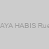 SHAYA HABIS Rueda